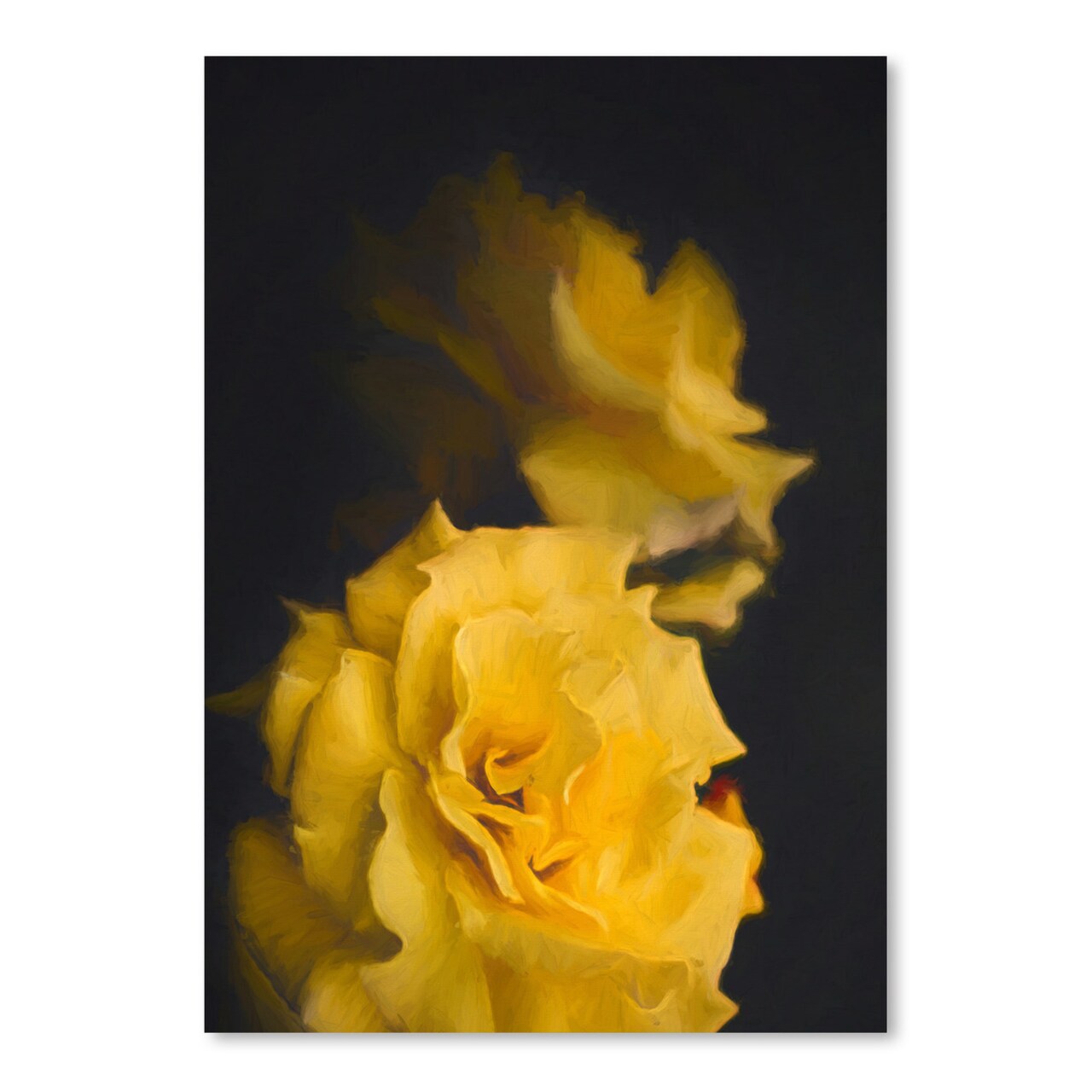 Yellow Roses by Chaos &#x26; Wonder Design  Poster Art Print - Americanflat